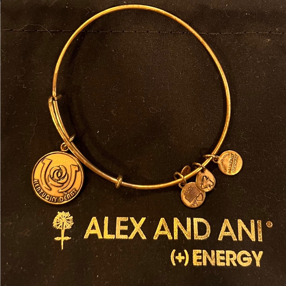 Alex and Ani Kentucky Derby Bracelet.